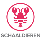 schaaldieren